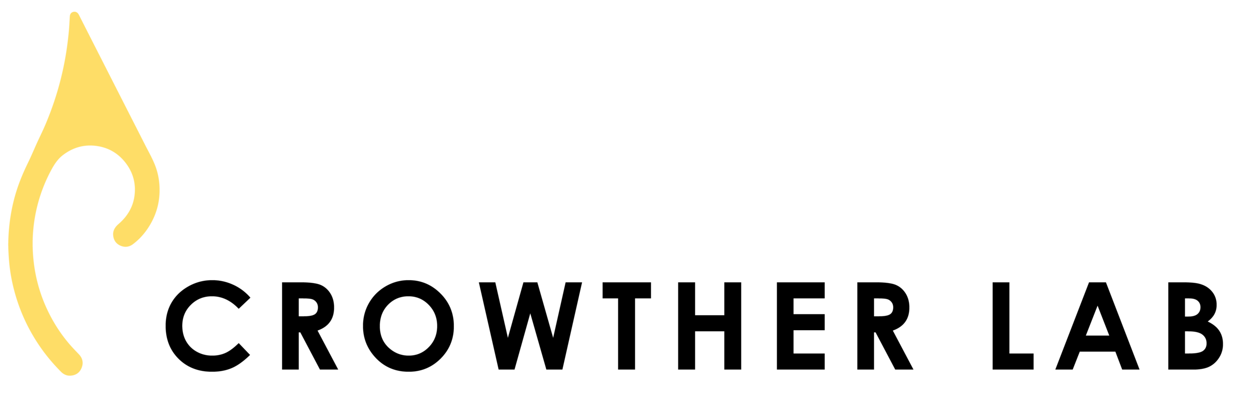 Logo_text_transparent (1).png