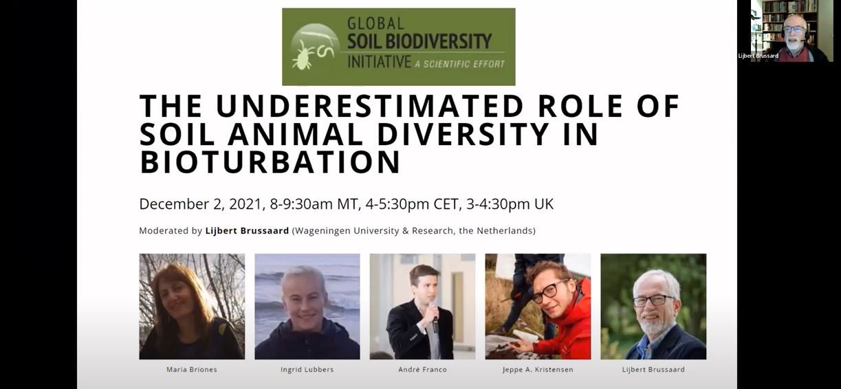 The underestimated role of soil animal diversity in bioturbation