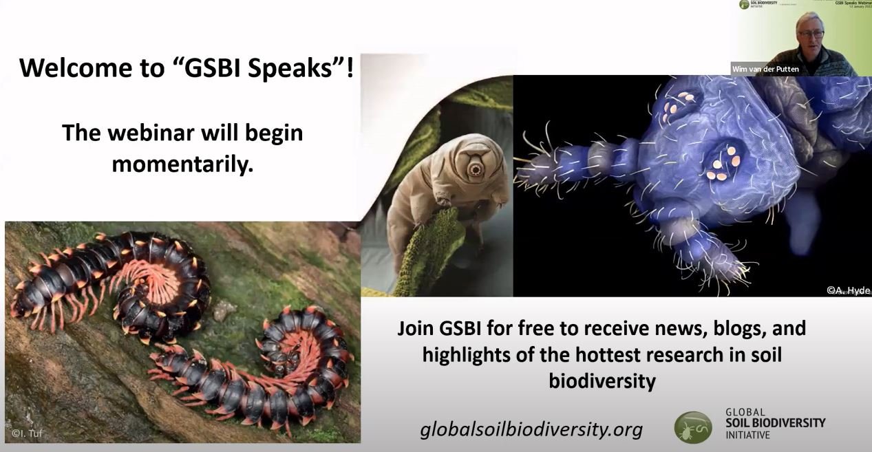 Toward a global soil biodiversity observatory