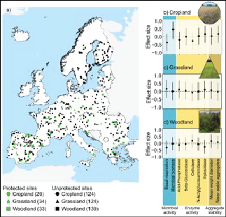 Challenges of and opportunities for protecting European soil biodiversity