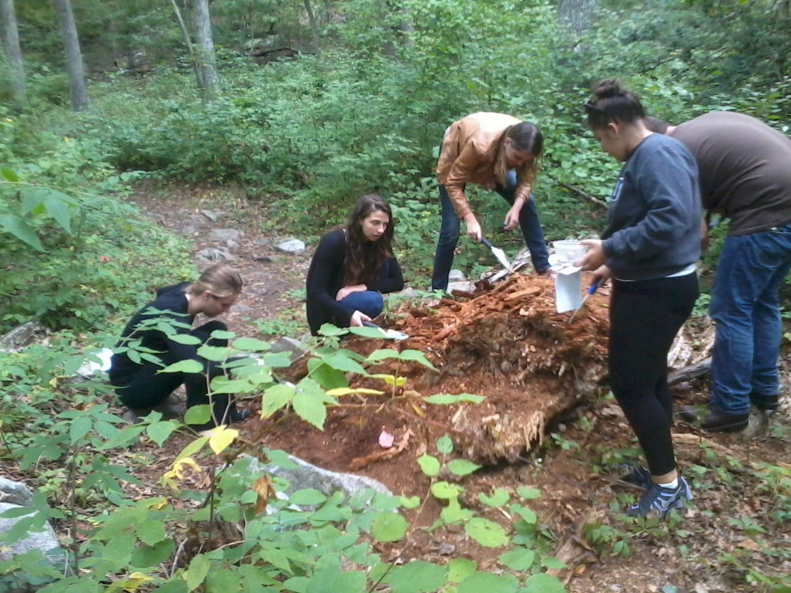 Teaching about the essence of soil biodiversity 