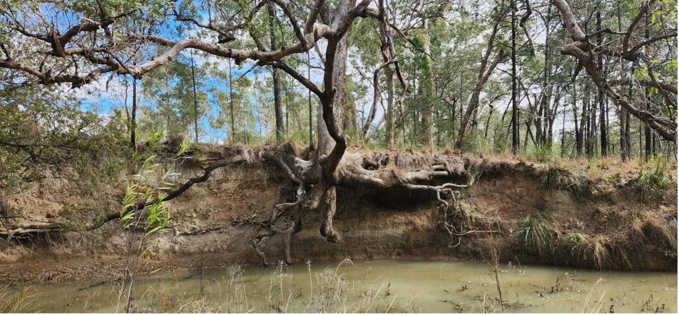 Mapping the Invisible: Revealing Australia’s Hidden Soil Microbial Highways