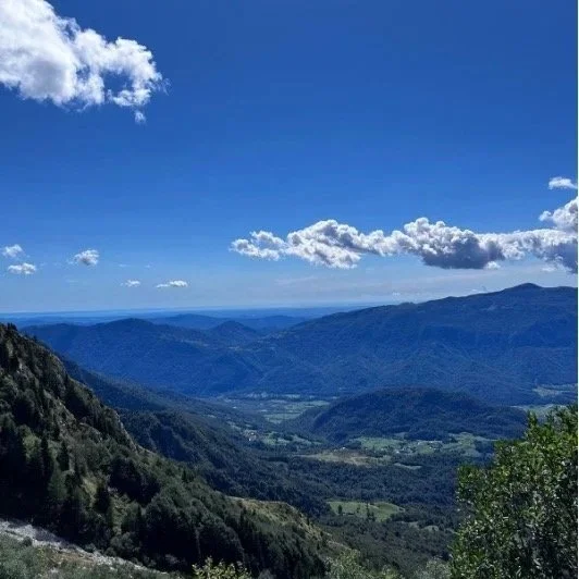 European forest soil microbiomes under disturbance and management