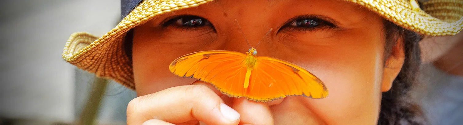 How To See God In The Little Things