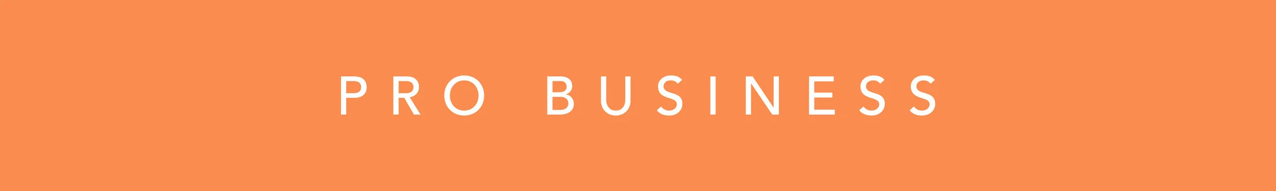 probusiness-01.jpg