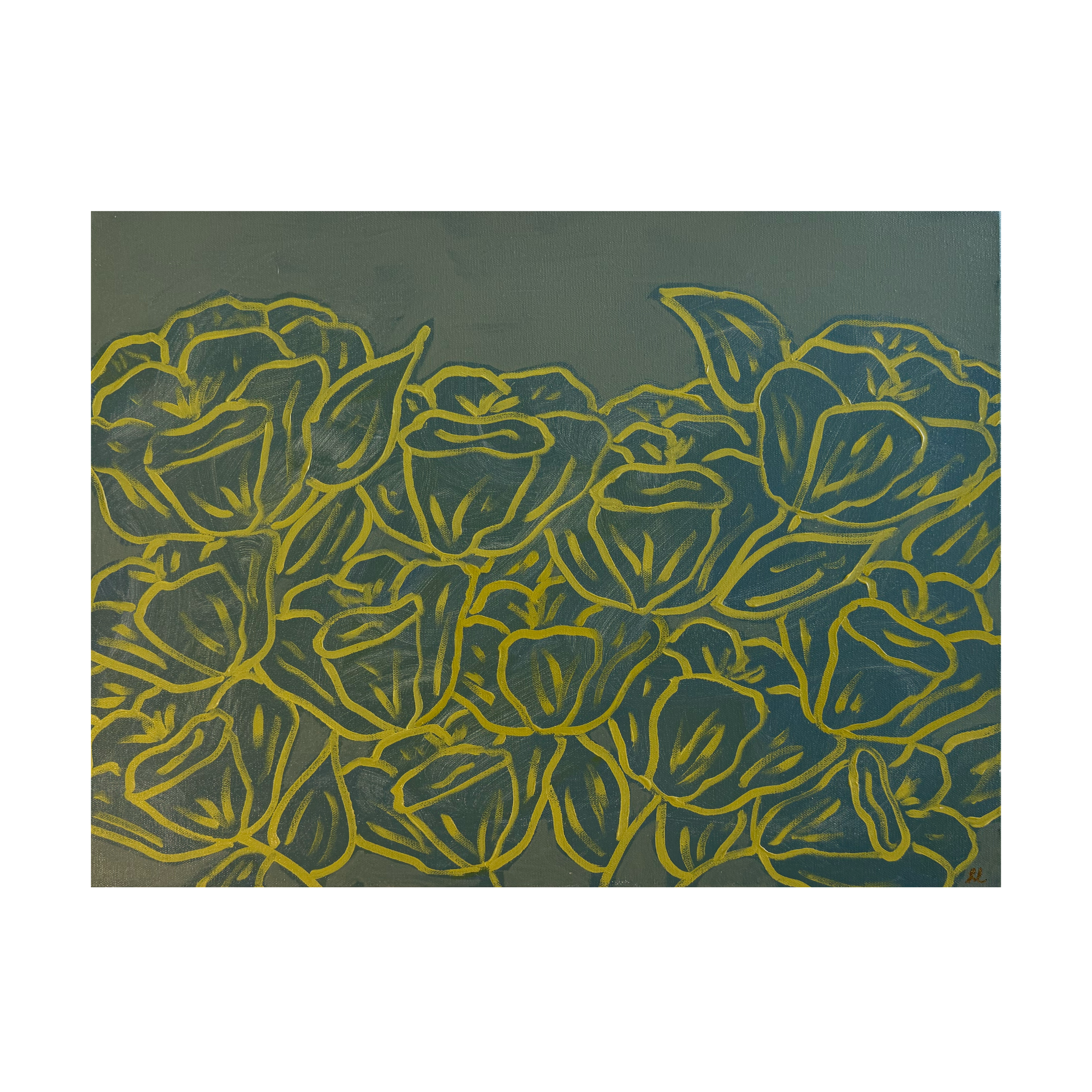 16x20 lime green.png