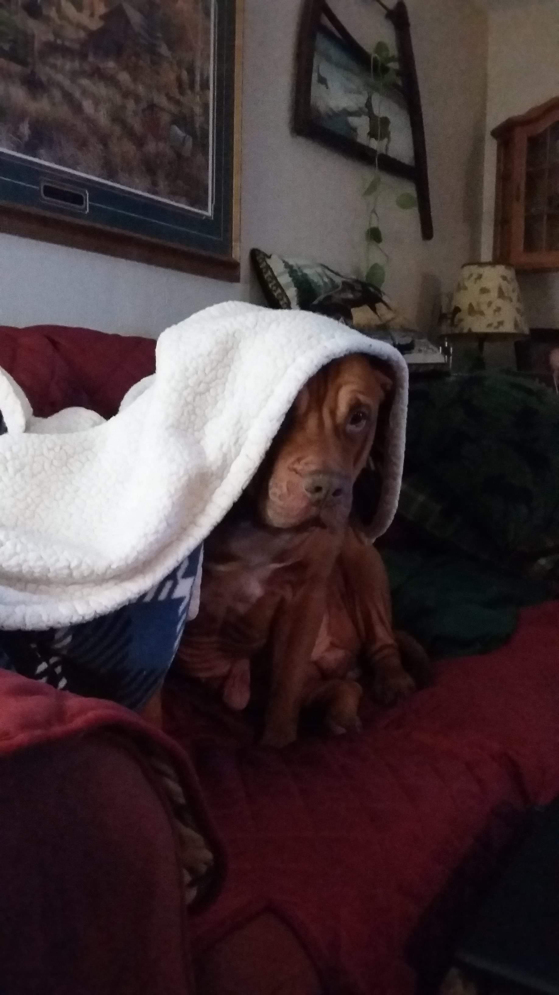 received_154800978736725 (1).jpeg