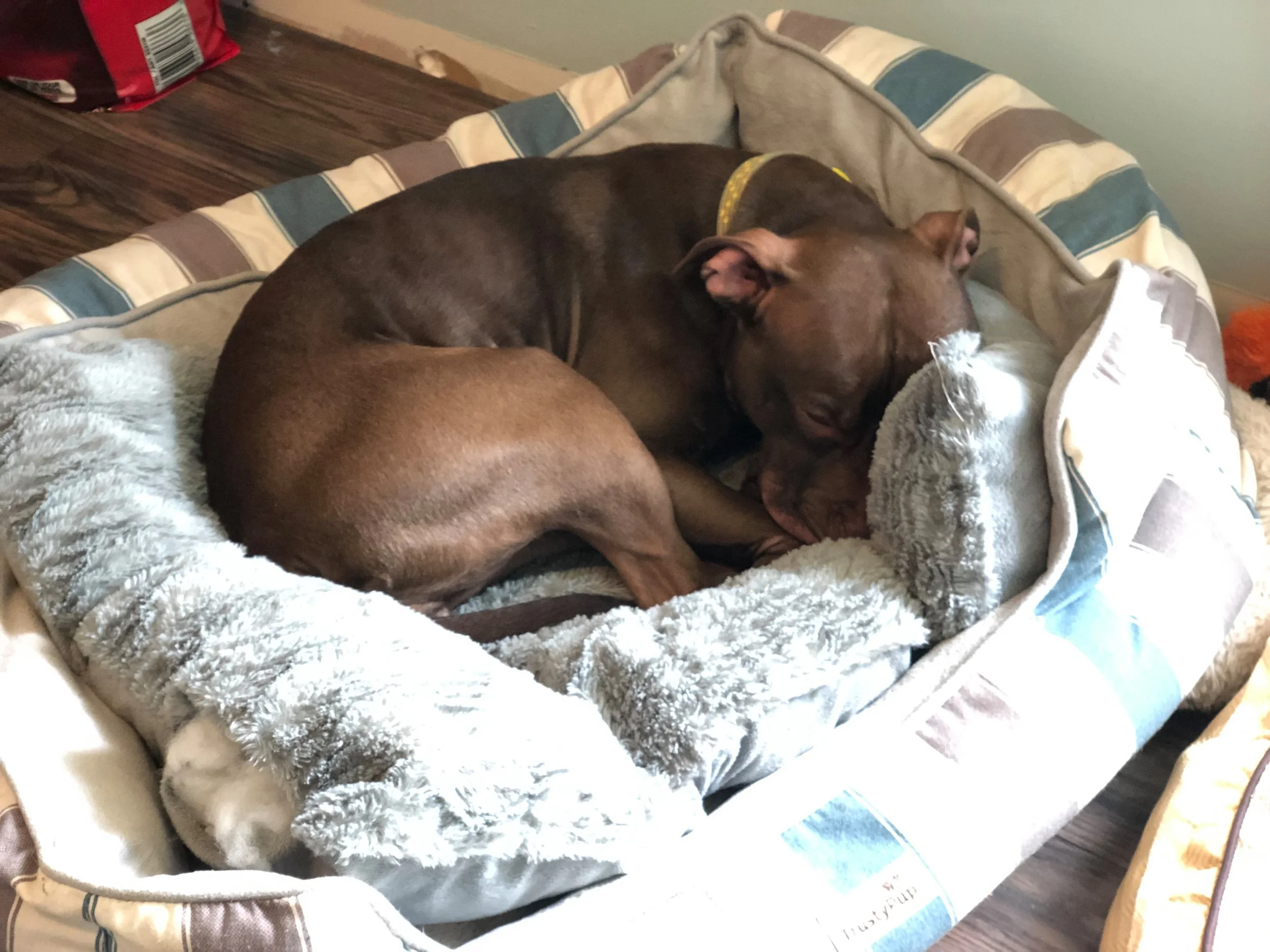 Tootsie2.jpg