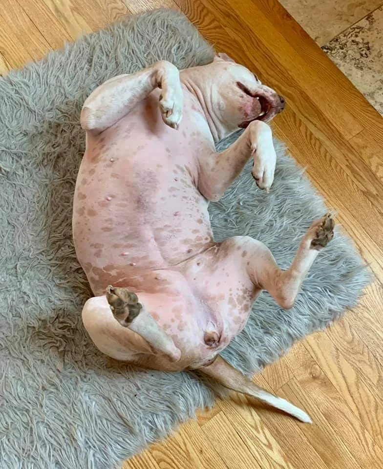 bella4.jpg