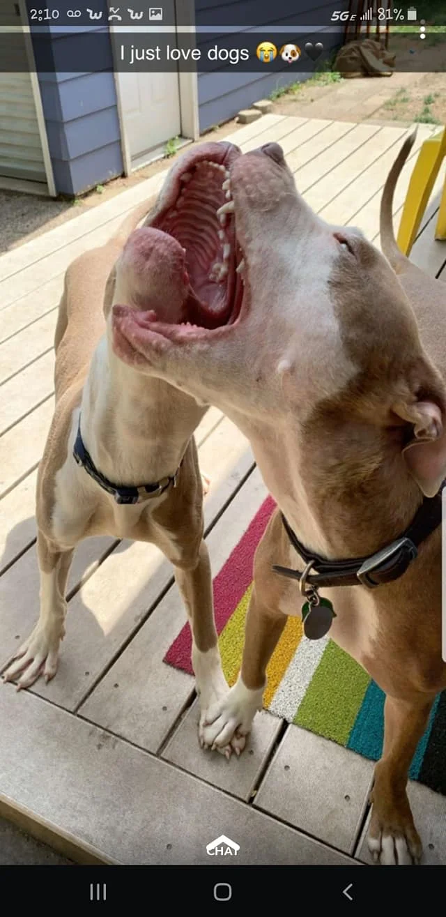 Odin6.jpg