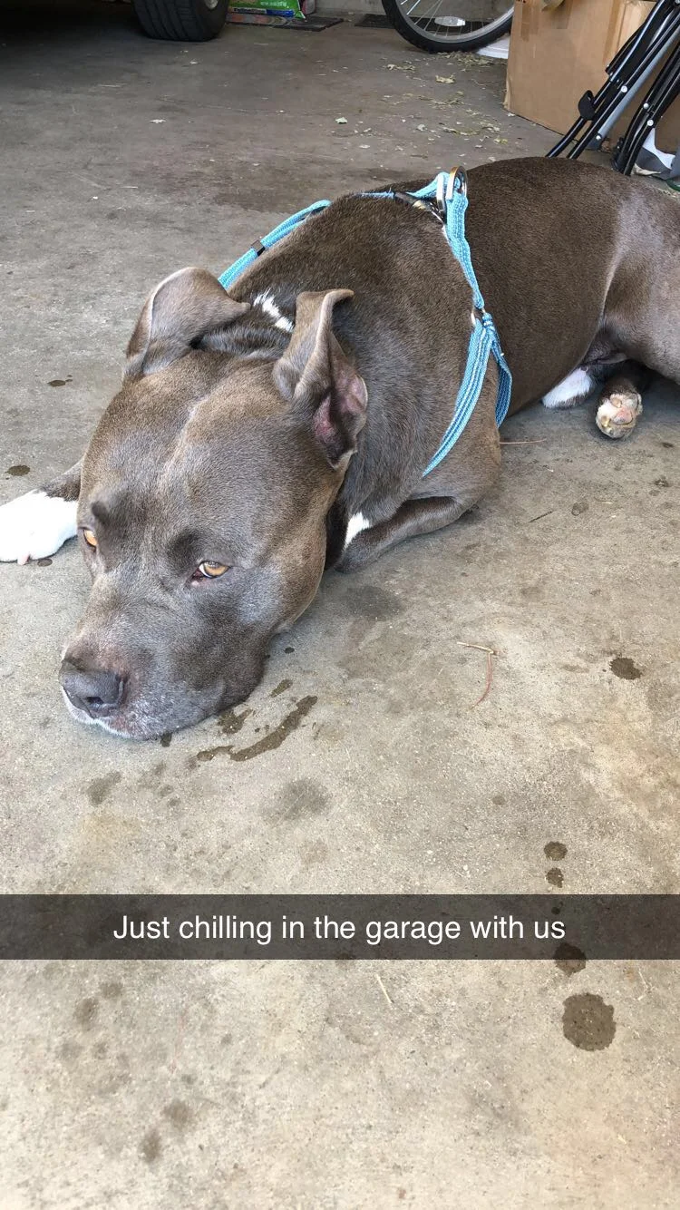 Murphy3.jpg