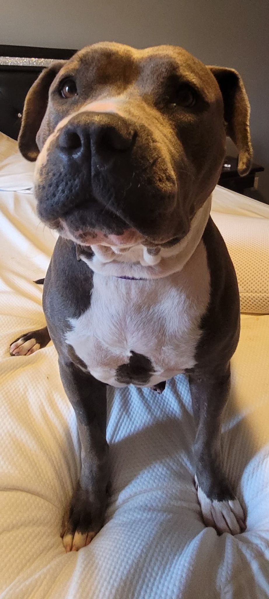 Daisy8.jpg