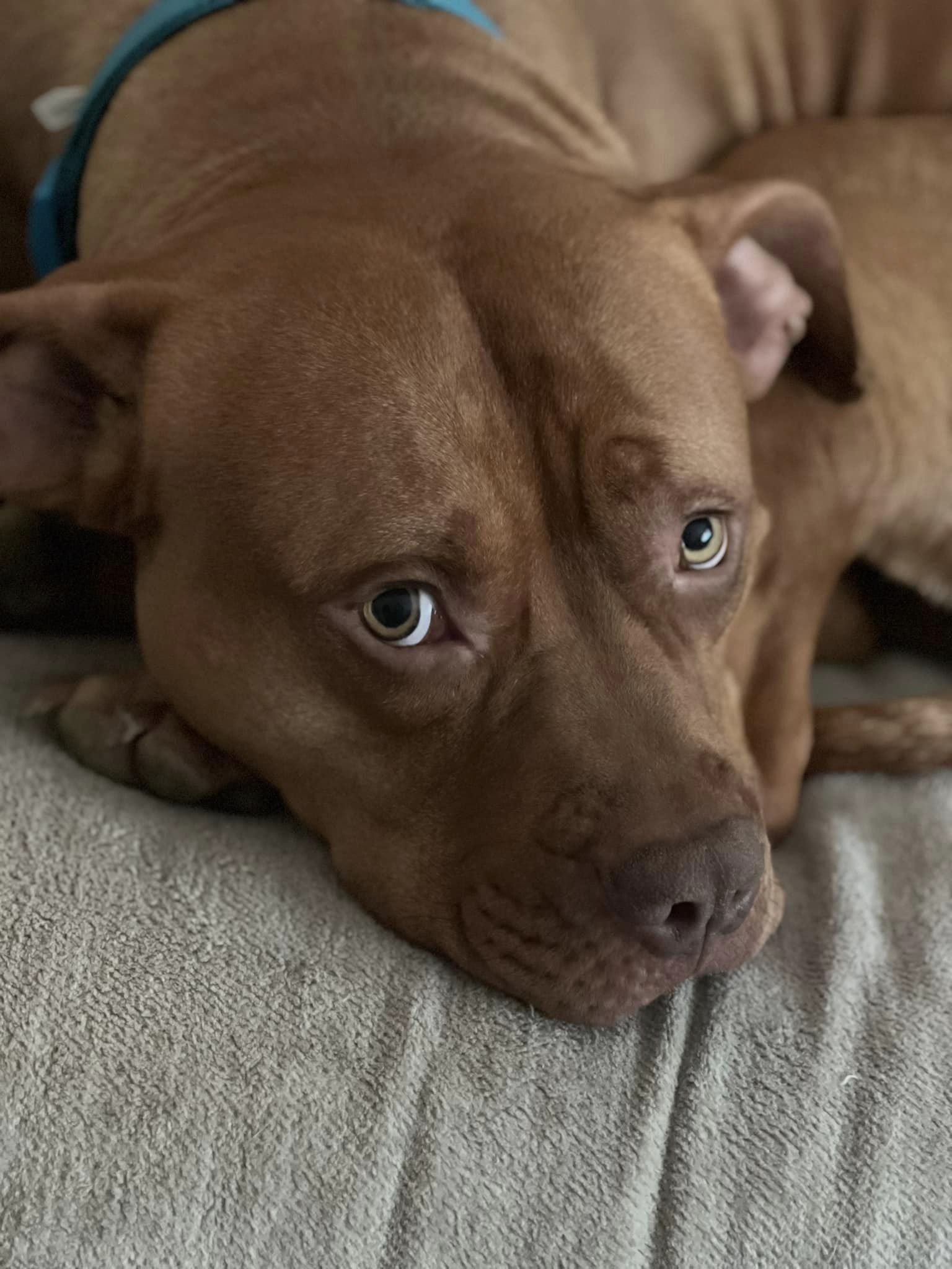 Hooch10.jpg