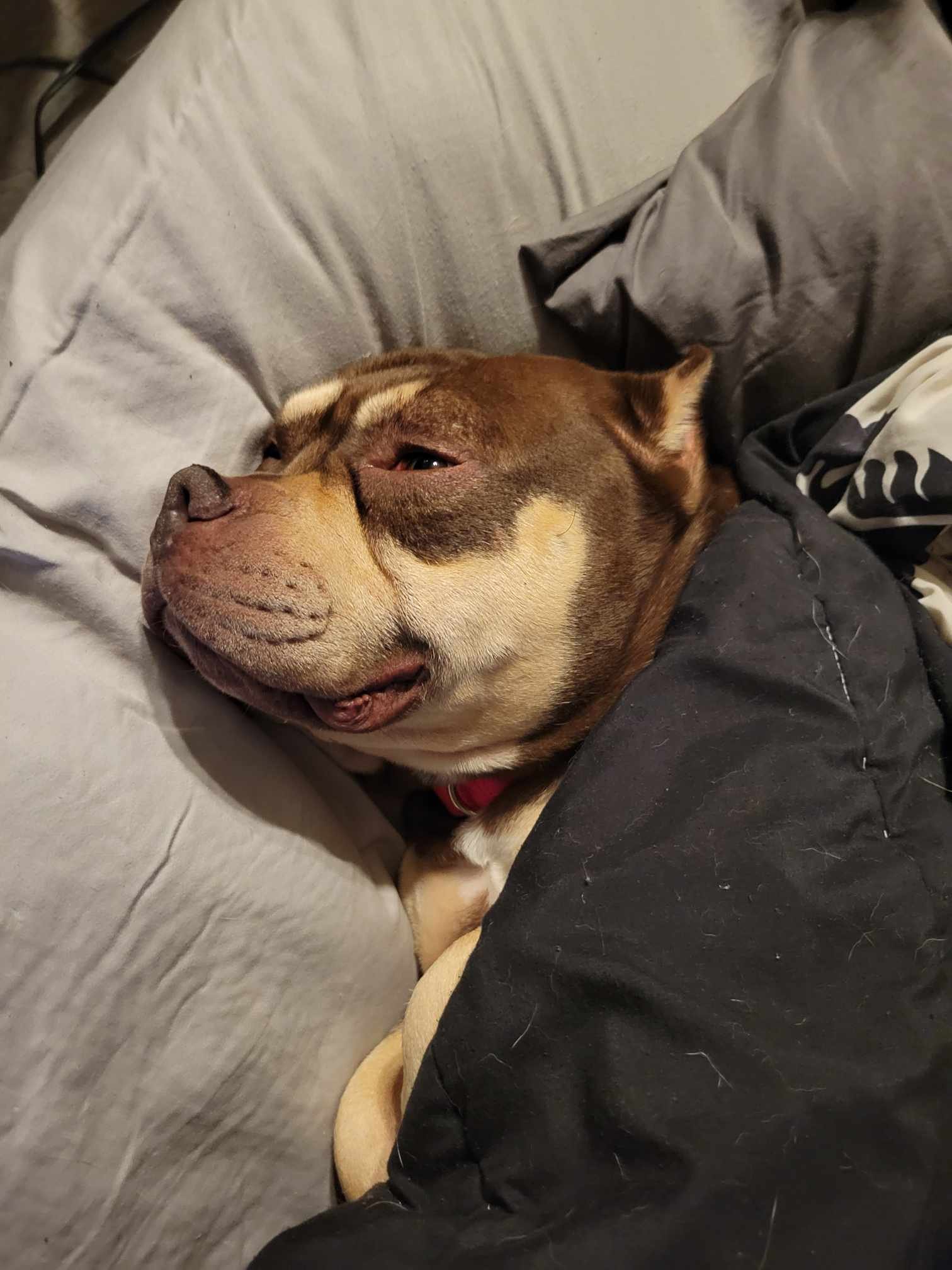 Peaches9.jpg