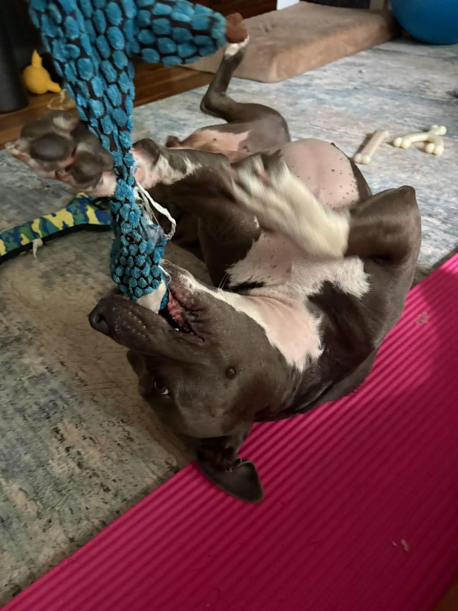 Lovey2.jpg