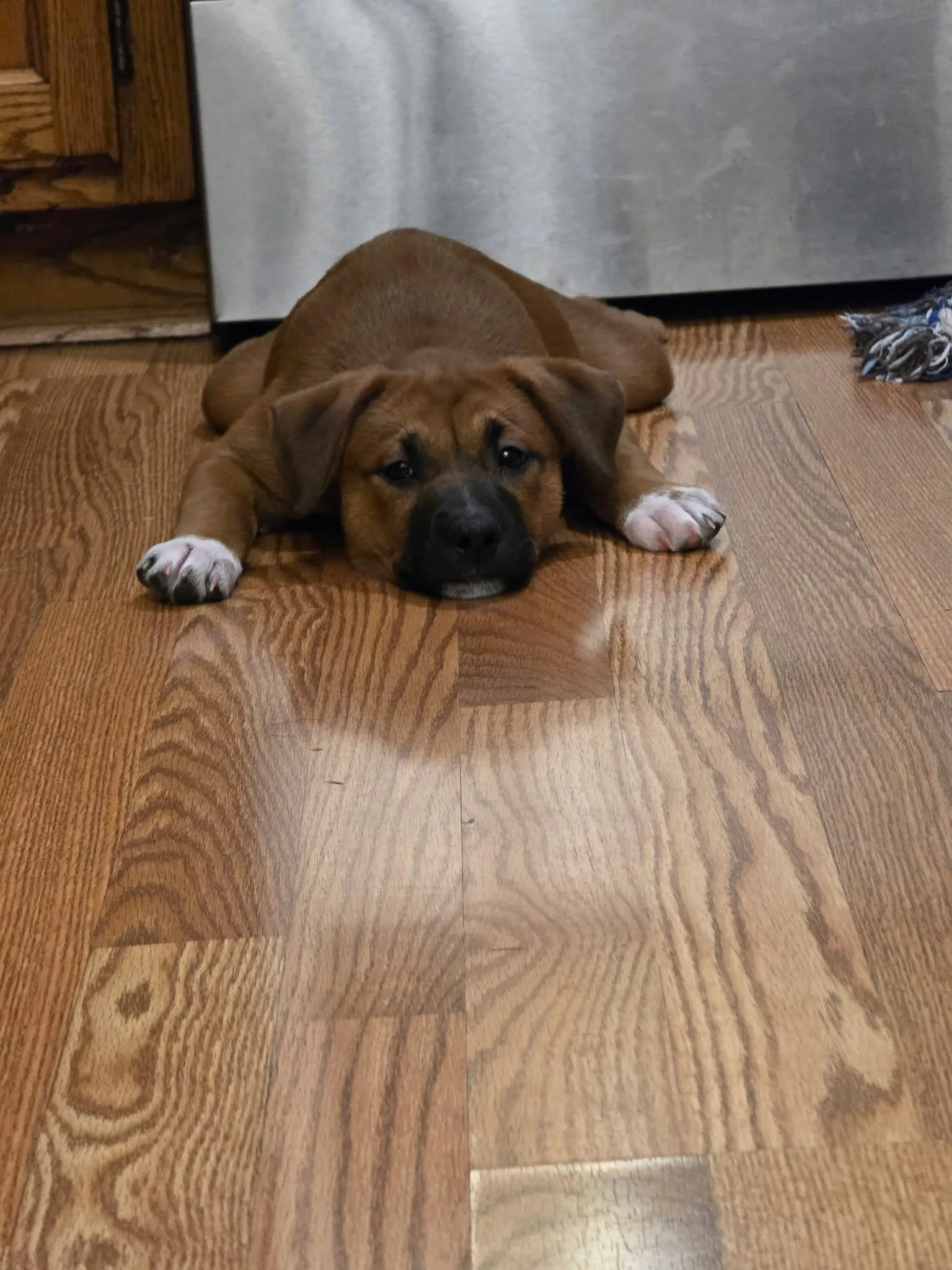 Juniper3.jpg
