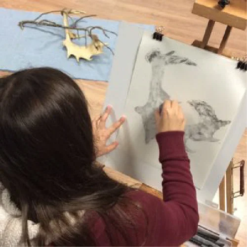 cursos e workshop artes visuais