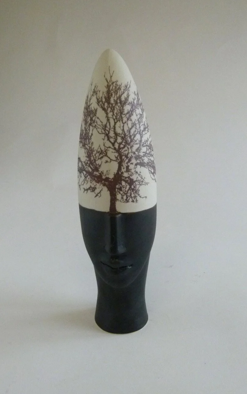 P1010881 copia 2.jpeg