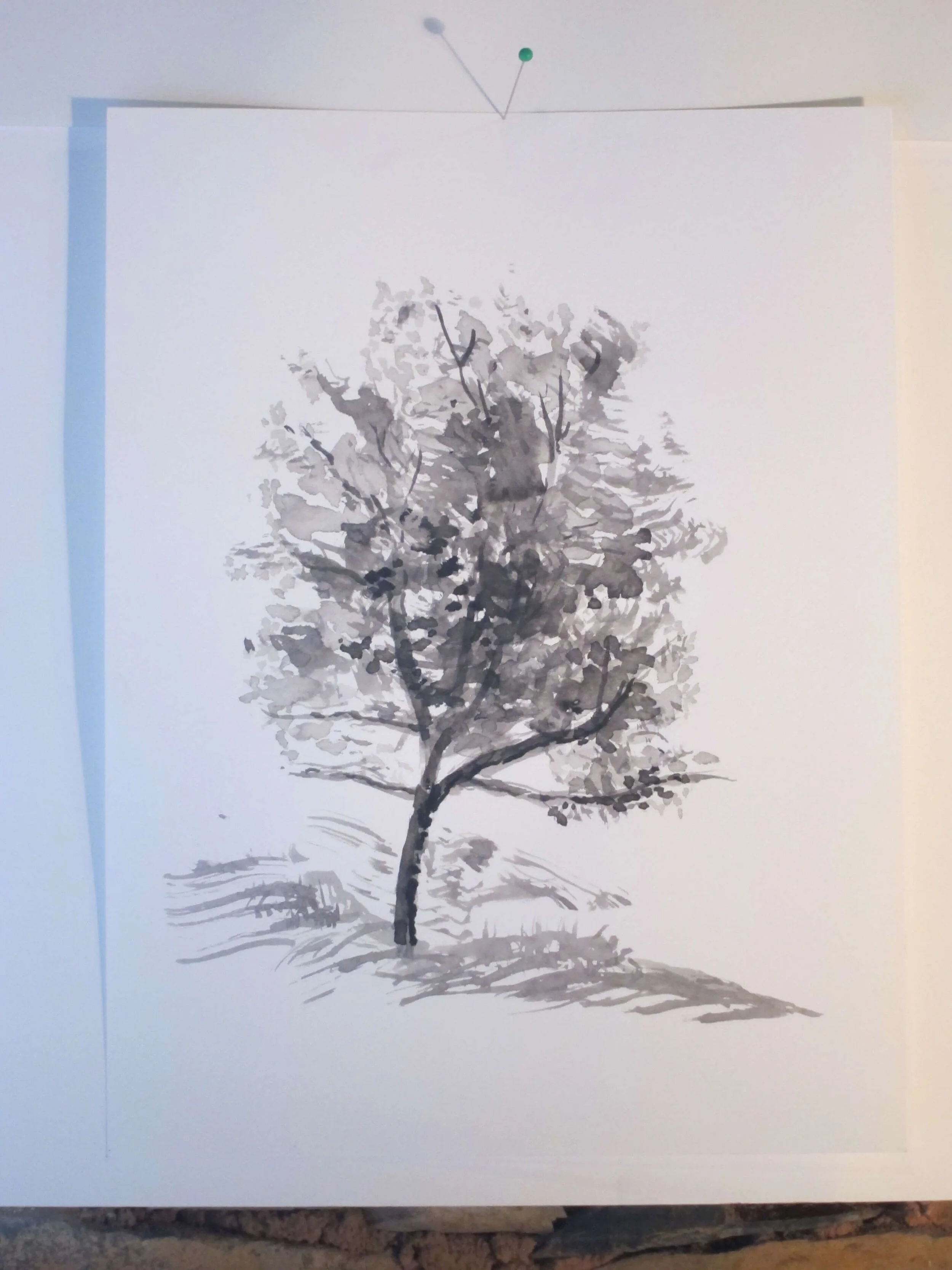 Pintura de árvore feita no curso Desenho na Natureza