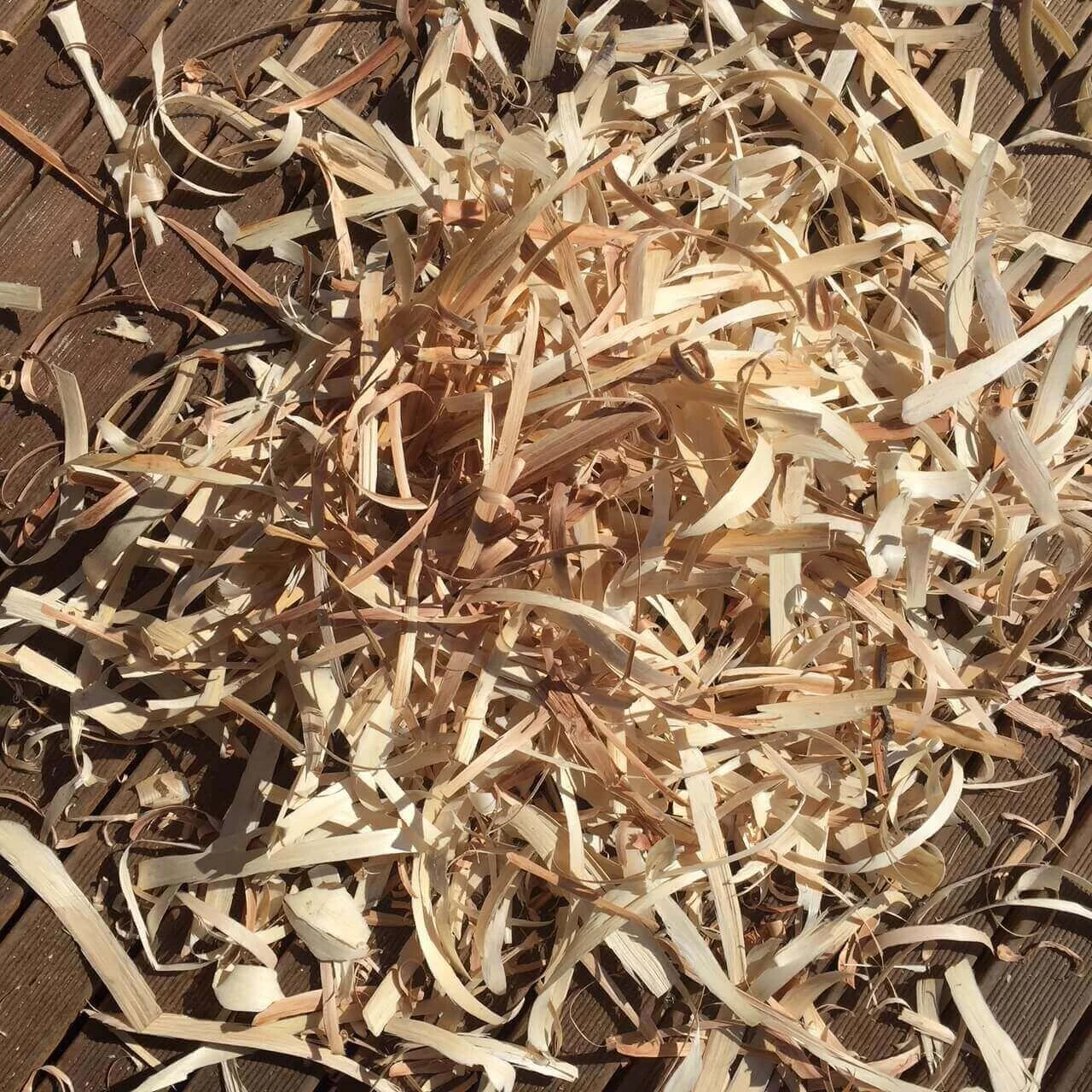 Construa a sua cadeira13.JPG