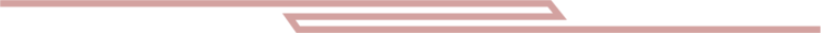 small separator line.png