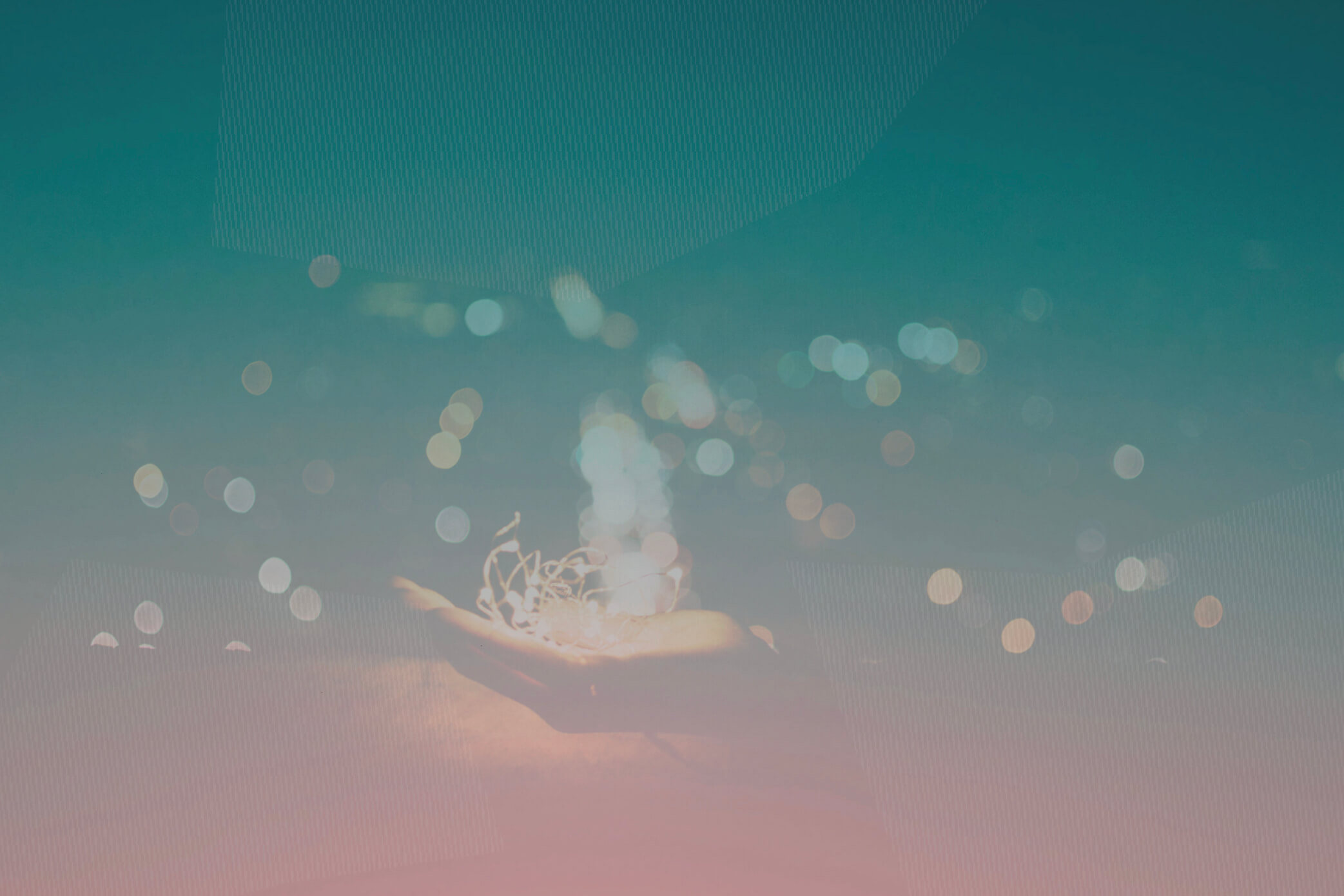 header 4.001.jpeg