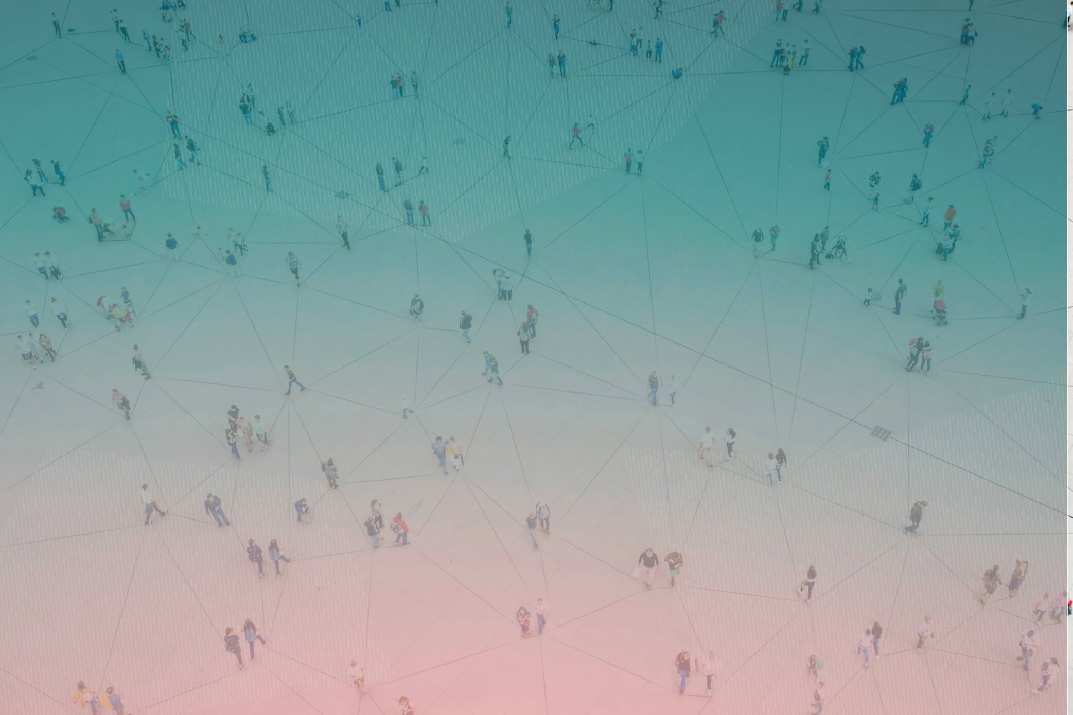ya web header.001.jpeg