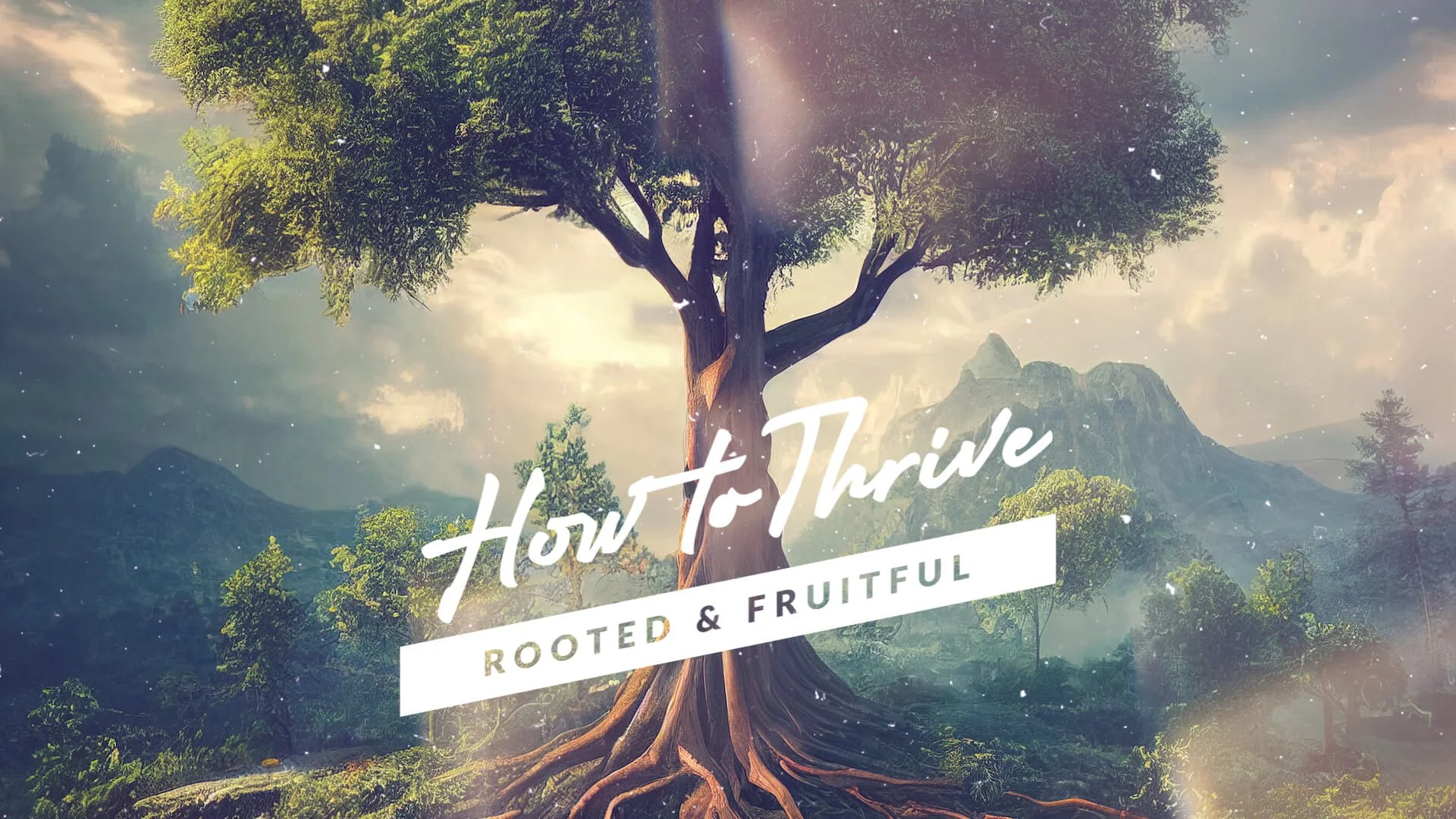 Are You Actually Following Jesus? | John 8:31-59