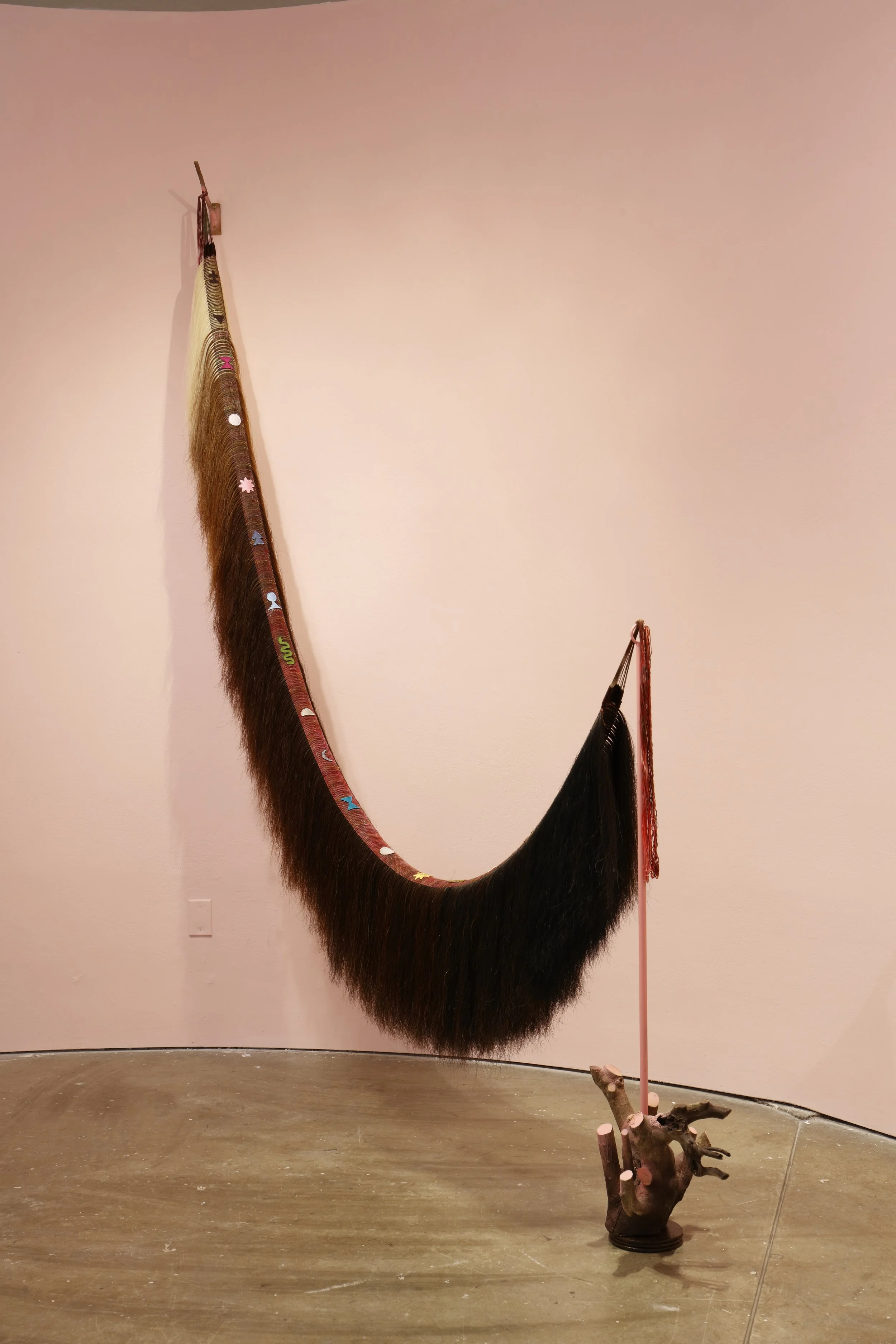 shapeshifterroot2 copy.jpg