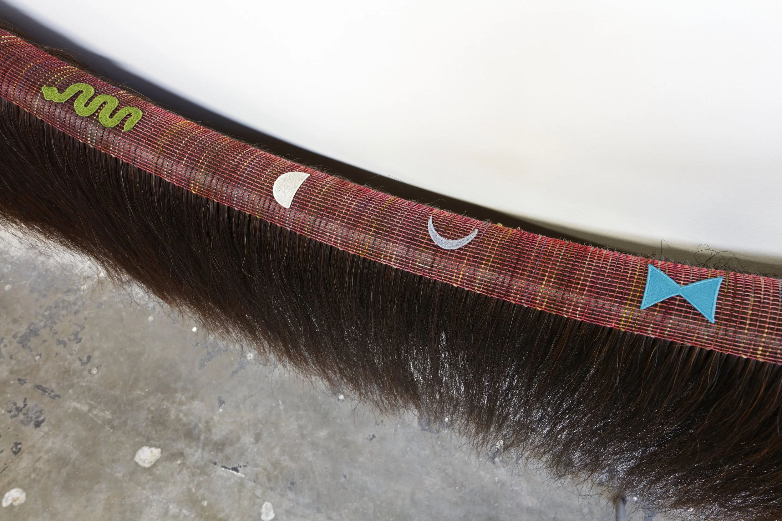 shapeshifterdetail1 copy.JPG