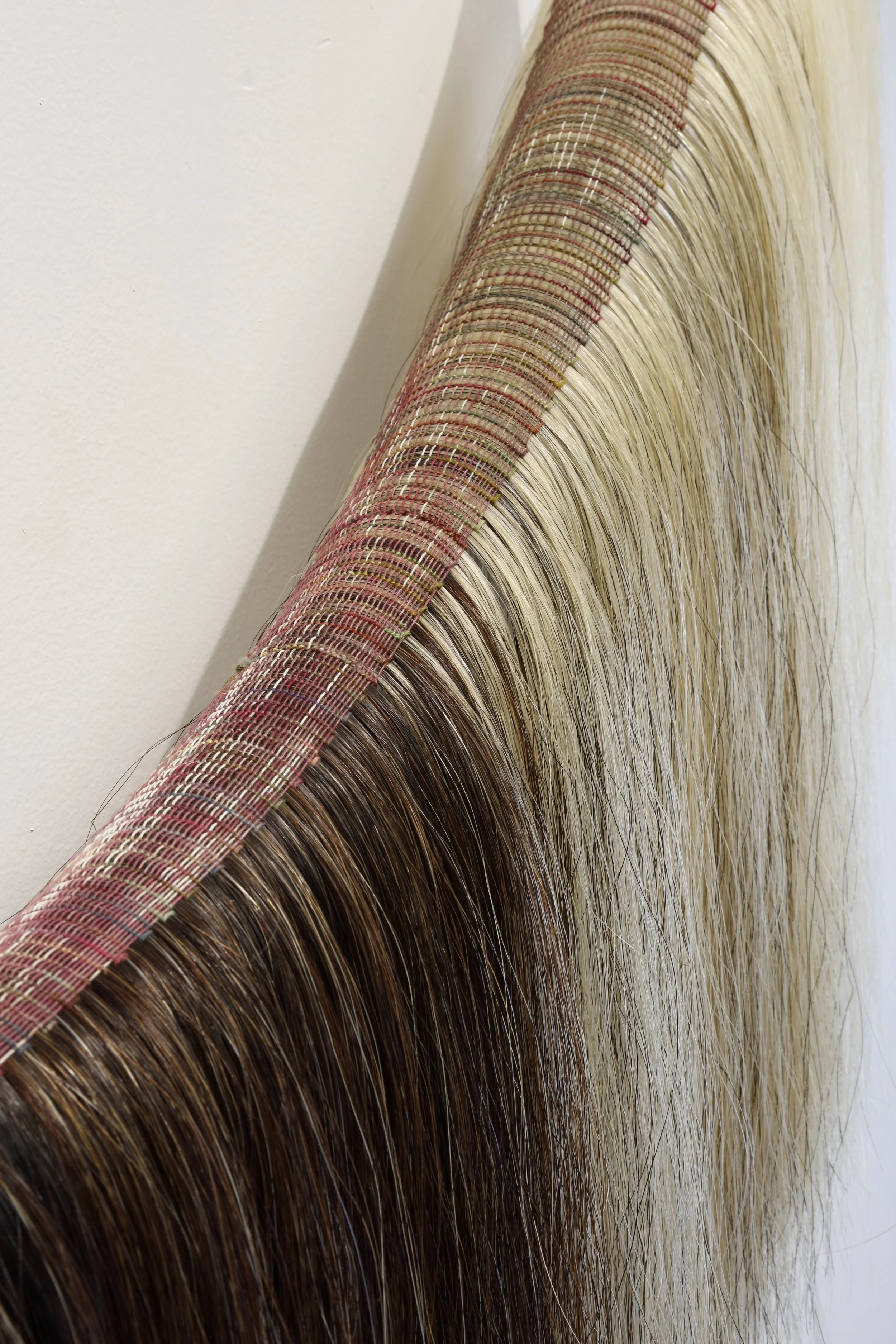 shadowplaydetail copy.JPG