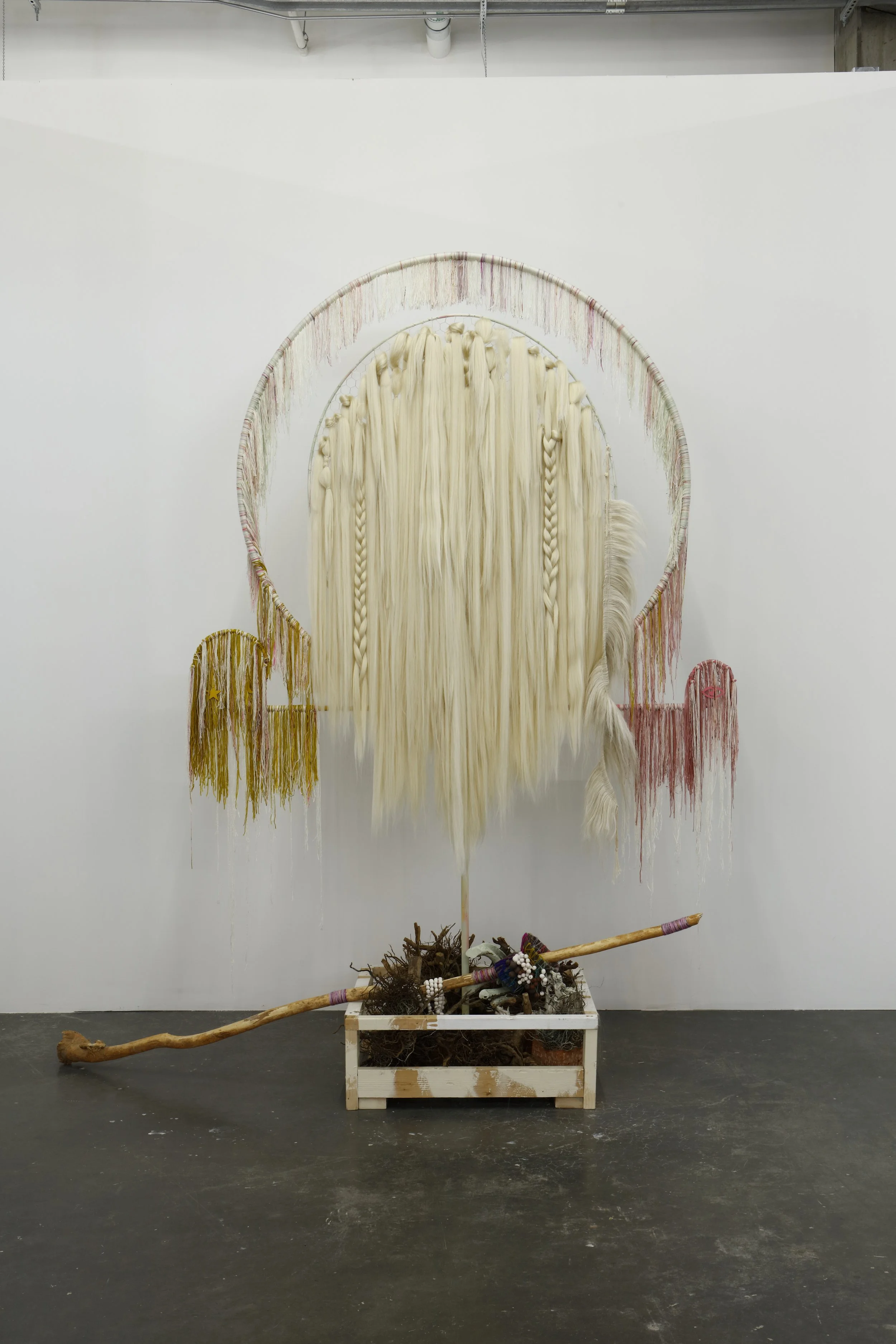 sunstarfull copy.jpg