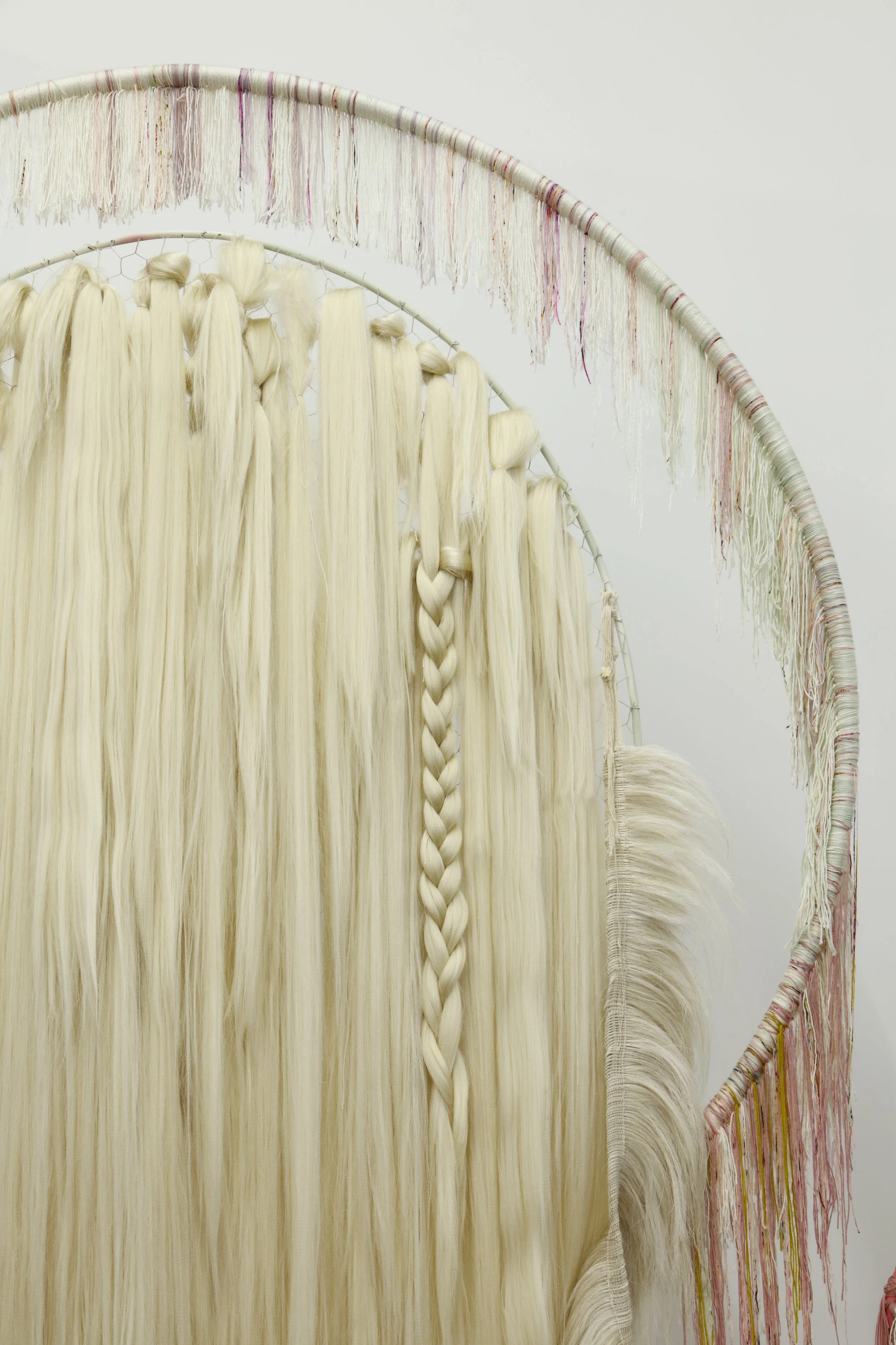 sunstardetail1 copy.jpg