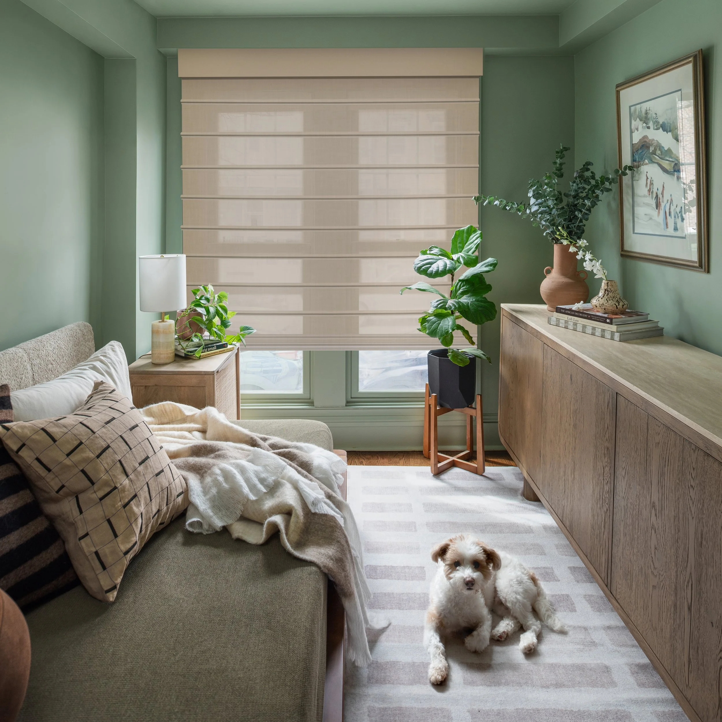 603Jefferson_MCAP_002_withDogcopy.jpg