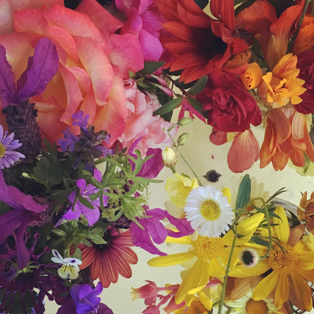 Flowers from my backyard.
