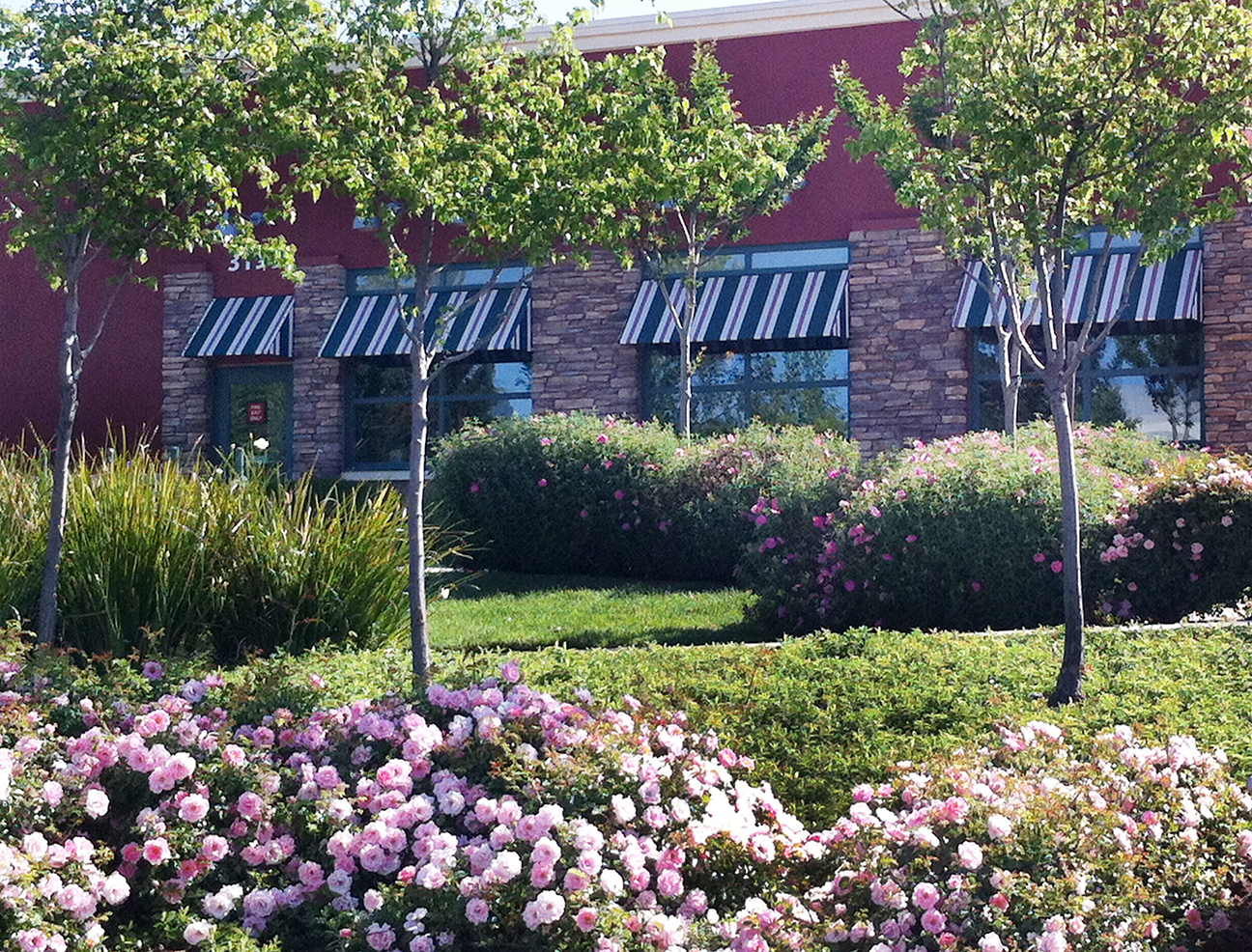Capitol Village-2.jpg