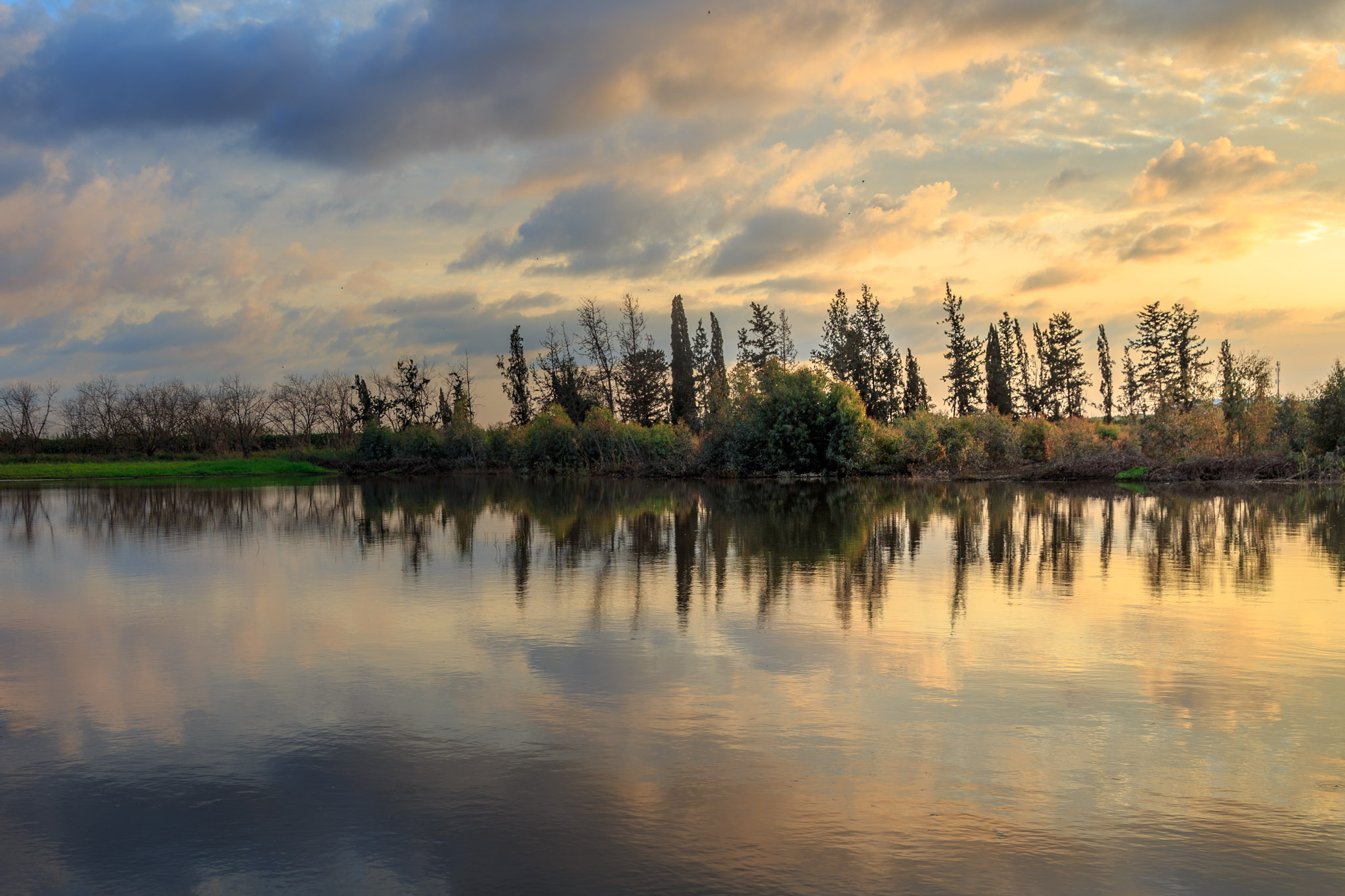 Sharon Area, Israel