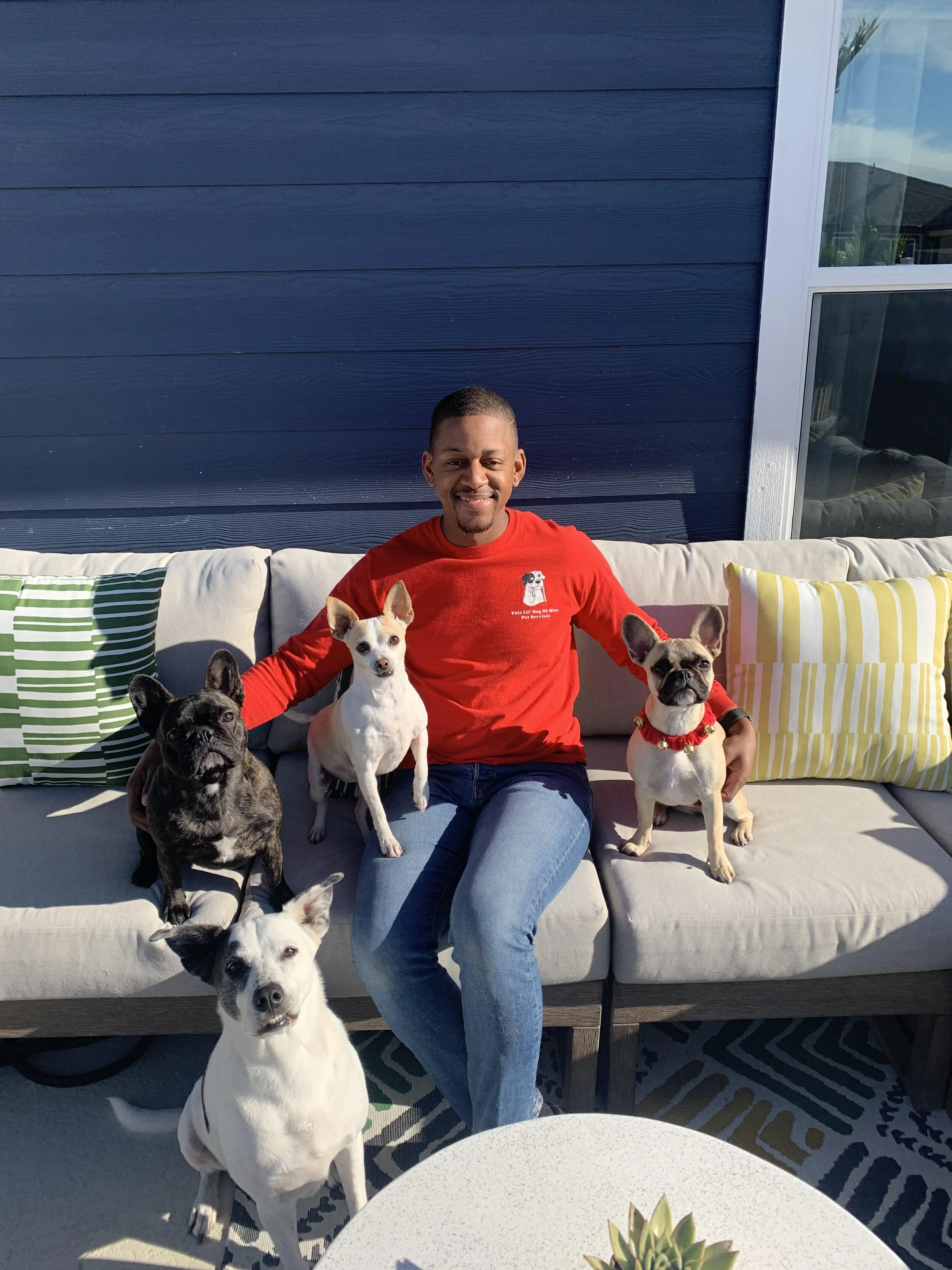 What to Look for in a Pet Sitter