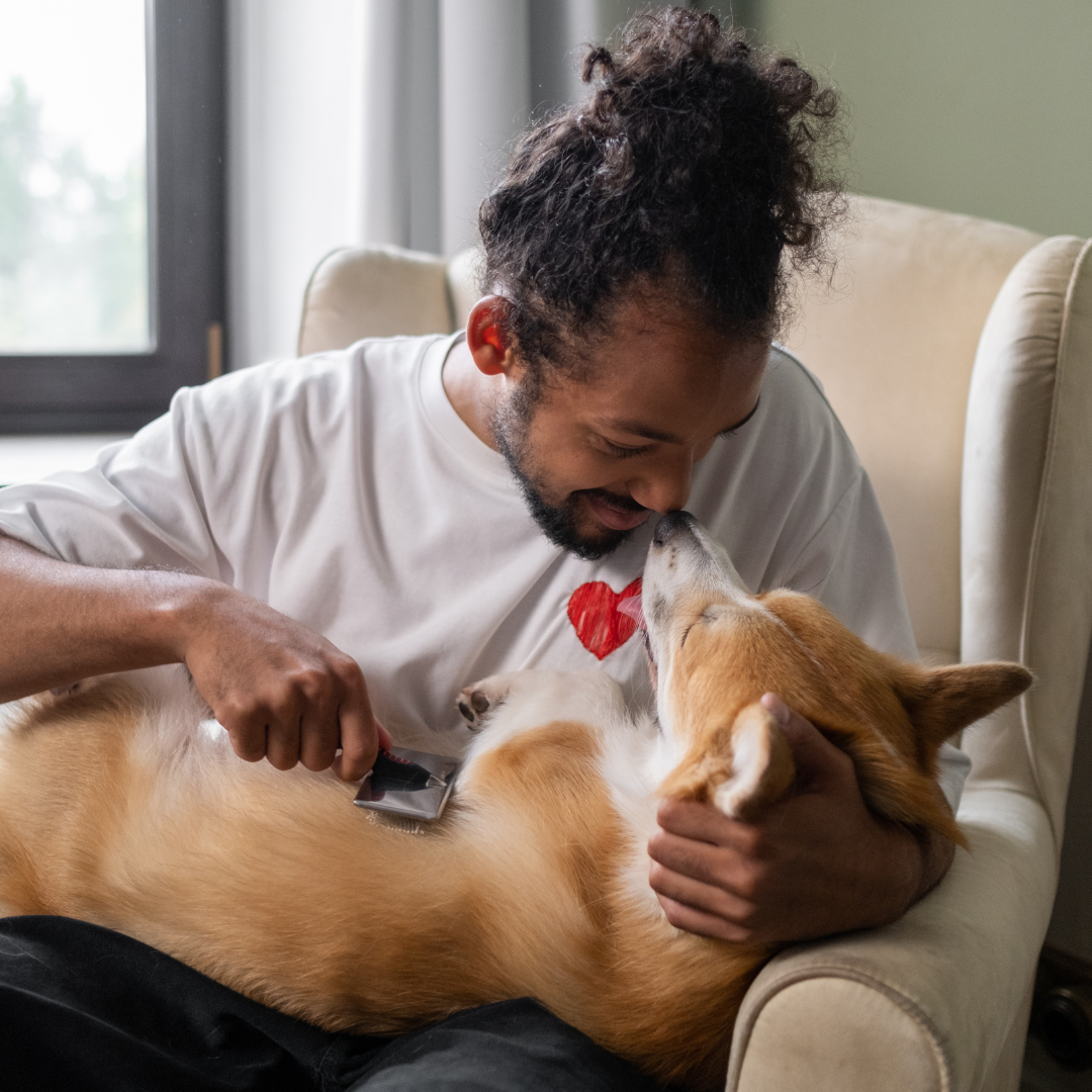 Pet sitting