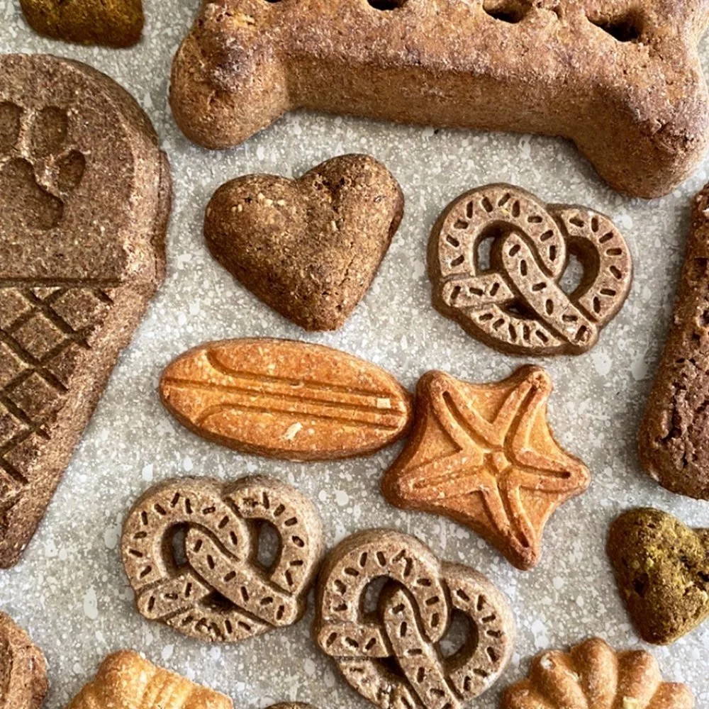 How to Start a Successful Pet Treat Bakery and Make Your First Sale