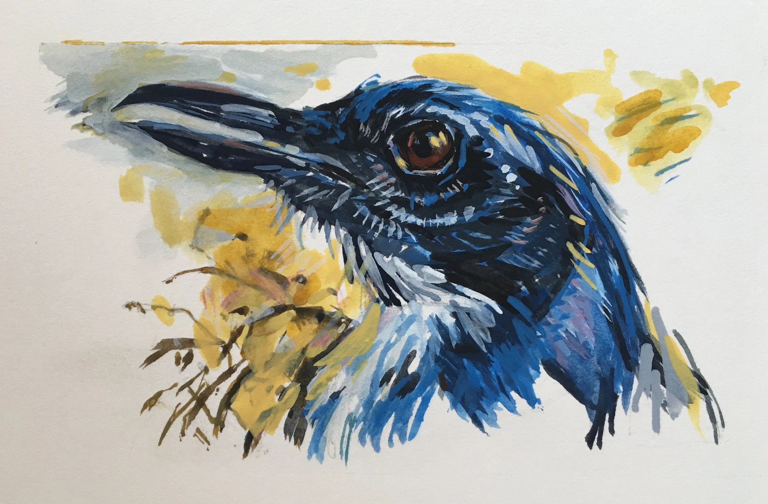 Scrub Jay 2016 3’’ x 5’’ Gouache on Arches