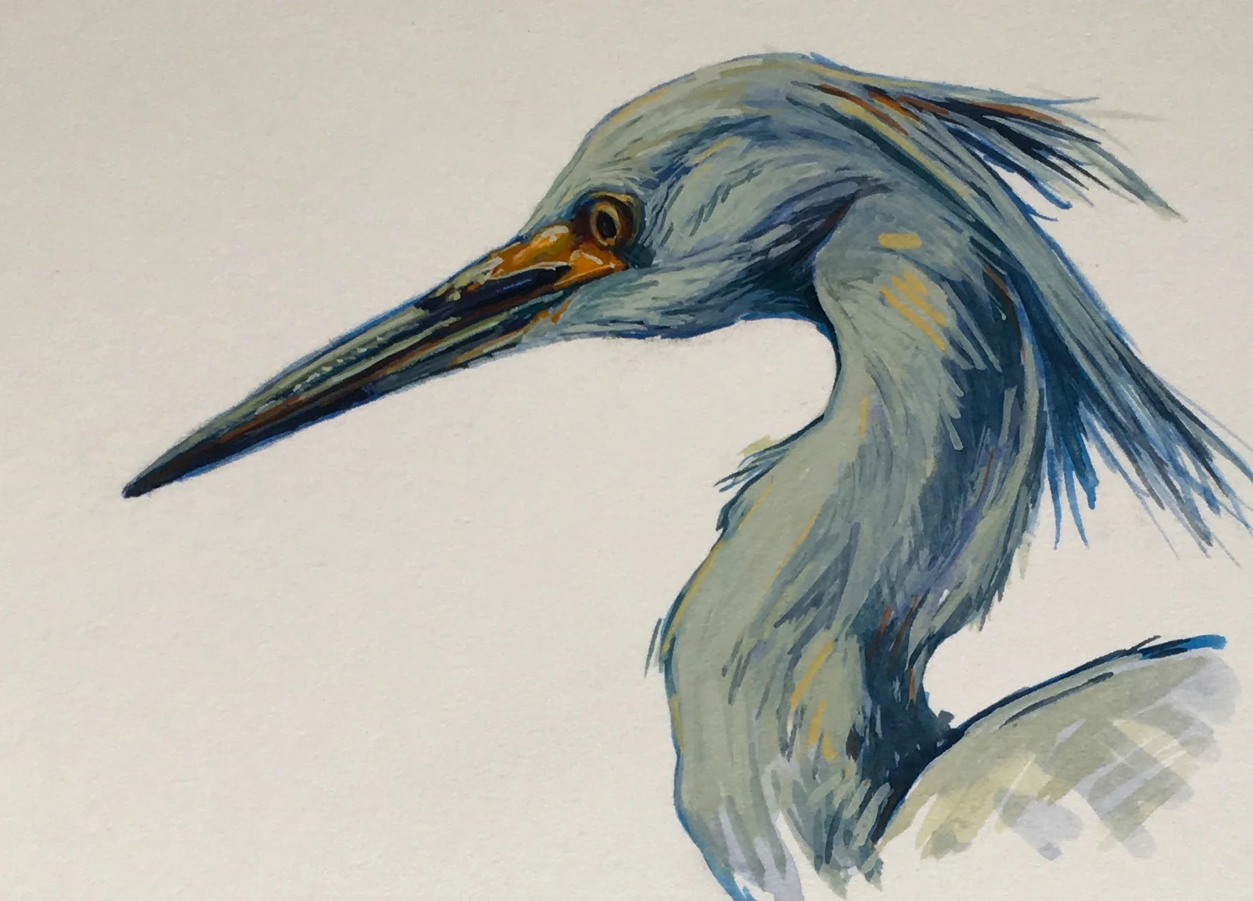 Snowy Egret 2017 4’’ x 6’’ Gouache on Arches Board
