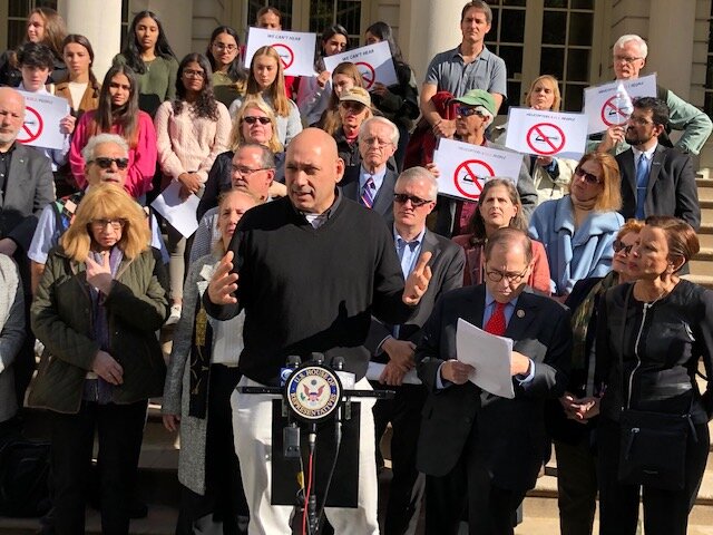 Toba Potosky, Candidate for City Council District 33 (S4E4)