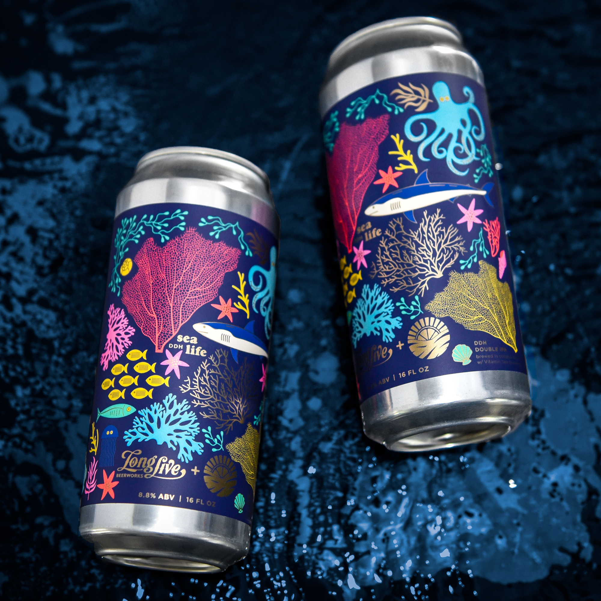 DDH Sea Life