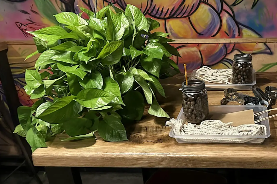 Hydroponic Plant Class w/ Bitsy's Proper-gations 