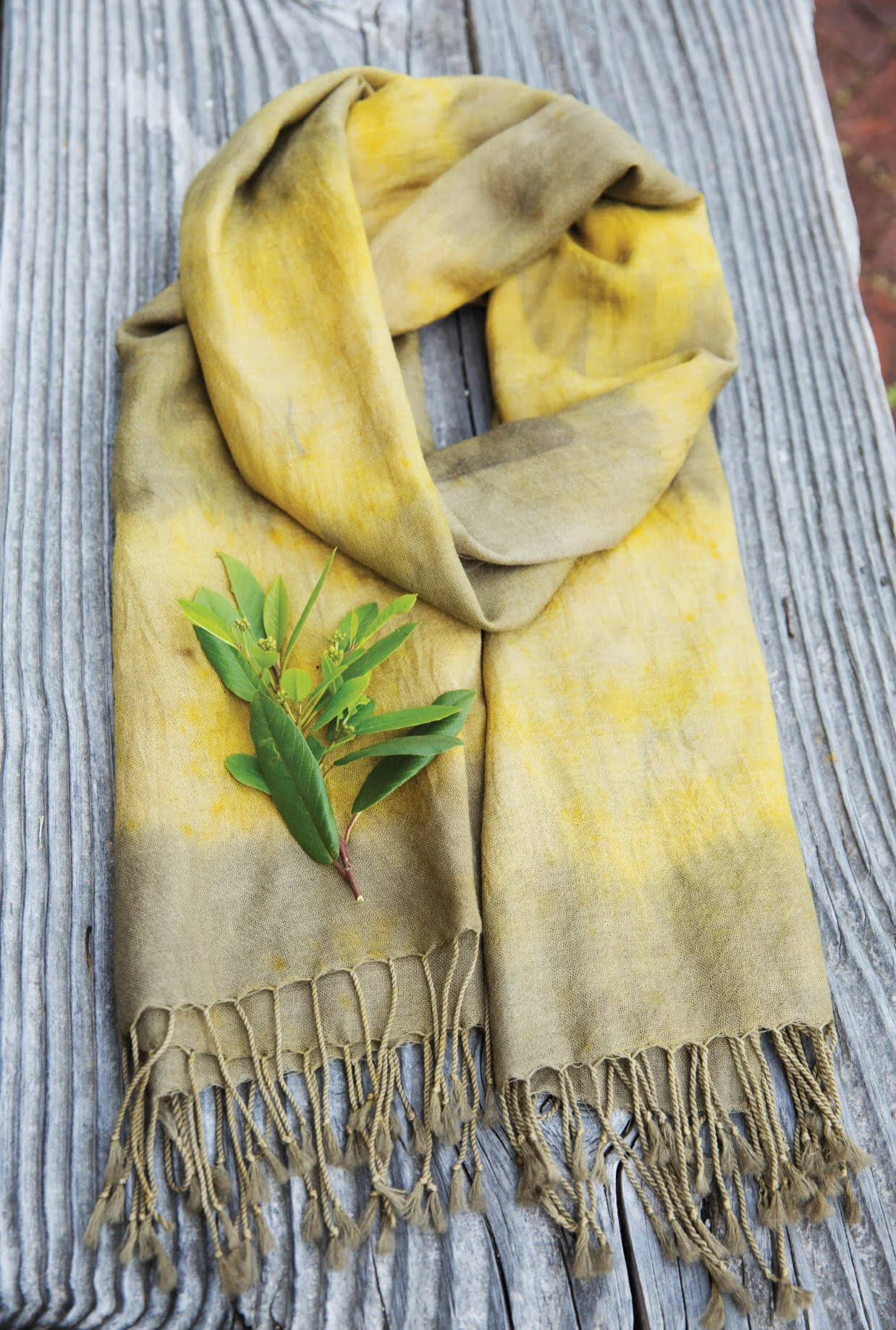 Dyeing a scarf with natural dyes Dec 5