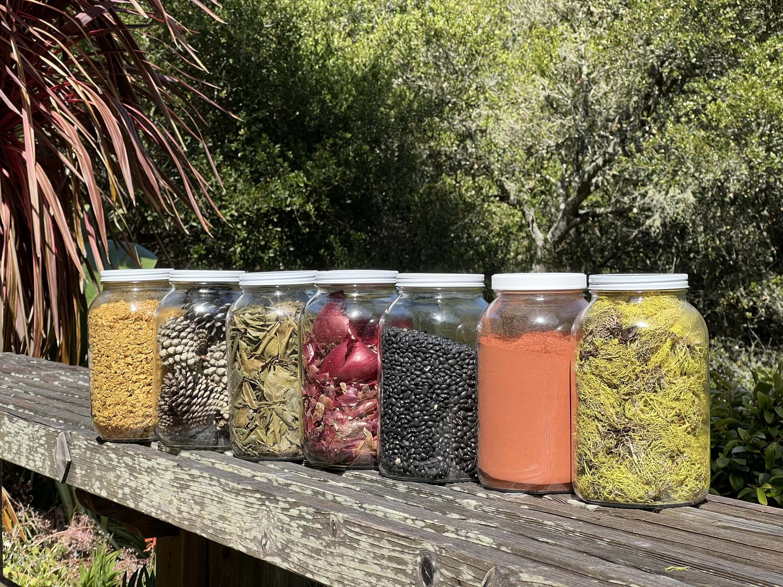 Dyeing a Scarf with Natural Dyes