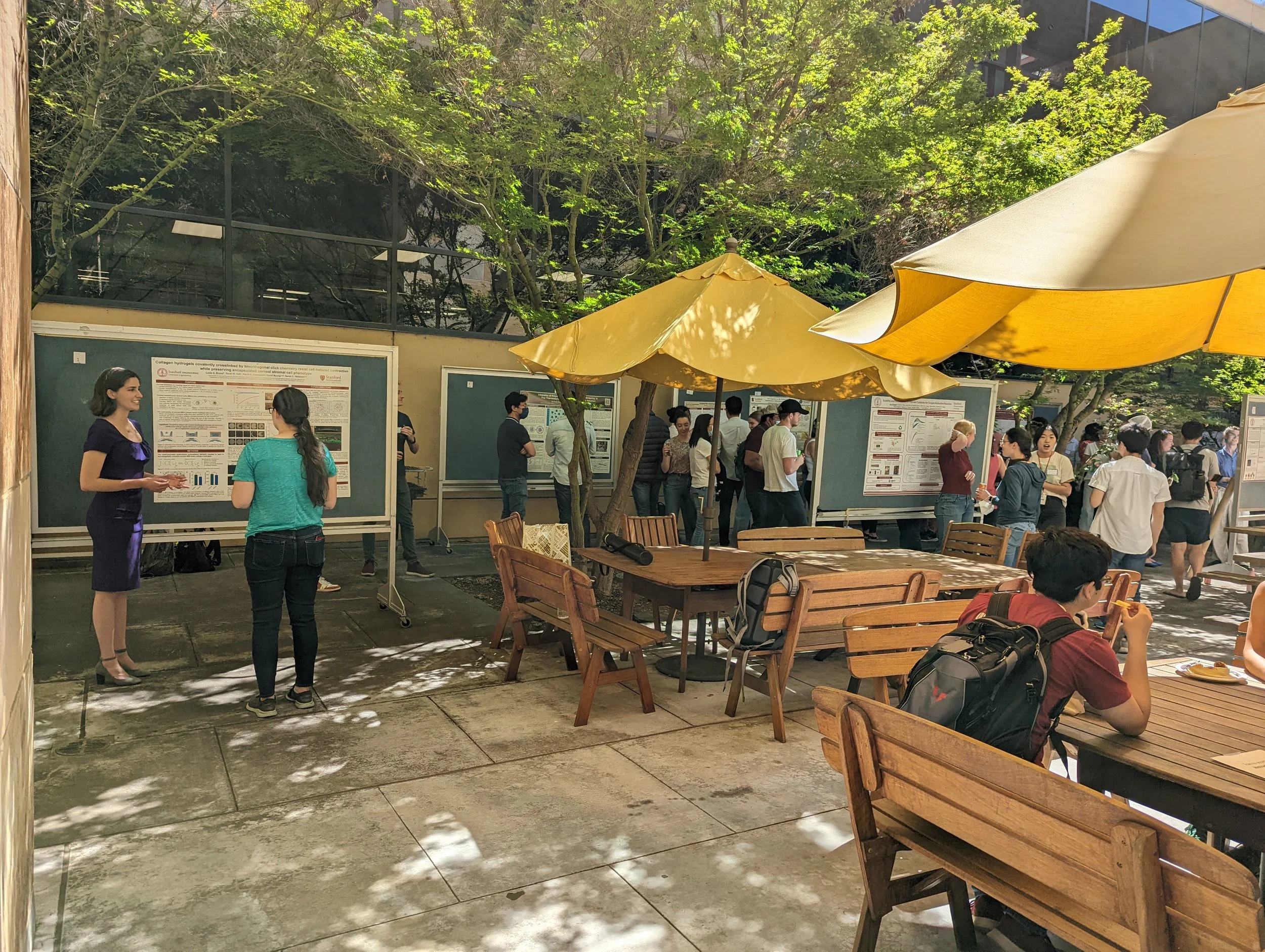 zoomed out image of SPC poster session