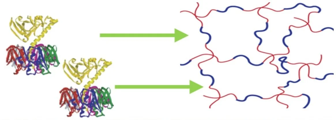 schematic of toxin-binding gel