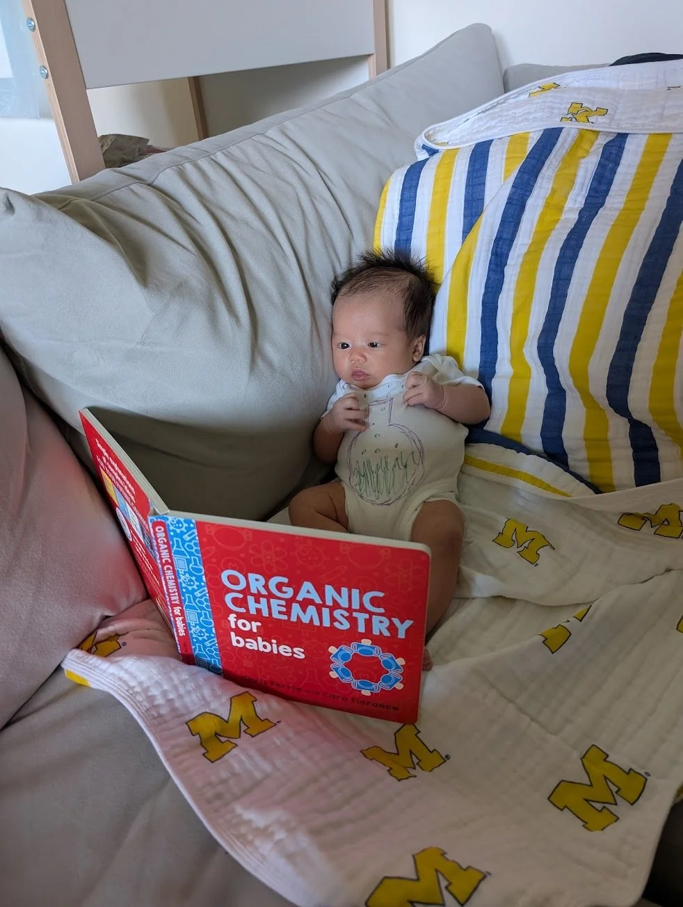 Sebastian looks at Organic Chemistry for Babies book